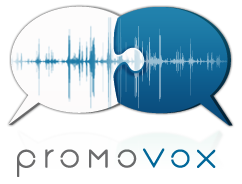 PromoVox Payment